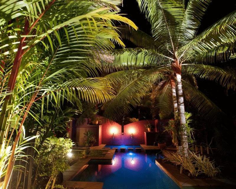 Dreamcatcher Beach-Side Apartments Port Douglas Buitenkant foto